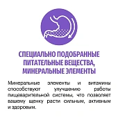 Сухой Корм Karmy Starter для щенков всех пород с момента отъема от матери и до 4-х недель с индейкой Сухой Корм Karmy Starter для щенков всех пород с момента отъема от матери и до 4-х недель с индейкой