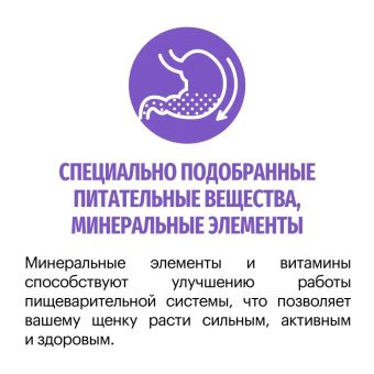 Корм Karmy Starter для щенков всех пород с момента отъема от матери и до 4-х недель с индейкой