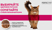 Паучи Perfect Fit для поддержания здоровья почек кошек с лососем в соусе Паучи Perfect Fit для поддержания здоровья почек кошек с лососем в соусе