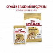 Royal Canin Pomeranian Adult корм сухой для взрослых собак породы Померанский Шпиц