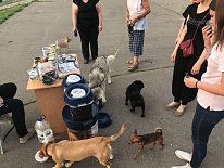 Дегустация в зоомагазине «Динозаврик» (Ул.Снежная, д.16к6)!