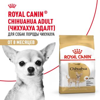 Корм для собак Royal Canin Chihuahua Adult сухой для взрослых собак породы Чихуахуа от 8 месяцев