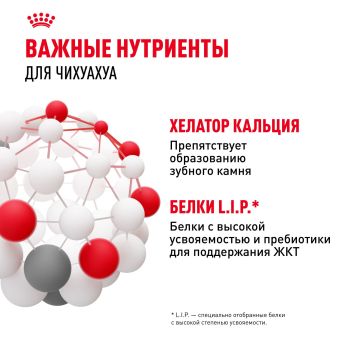 Корм для собак Royal Canin Chihuahua Adult сухой для взрослых собак породы Чихуахуа от 8 месяцев