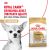 Корм для собак Royal Canin Chihuahua Adult сухой для взрослых собак породы Чихуахуа от 8 месяцев Корм для собак Royal Canin Chihuahua Adult сухой для взрослых собак породы Чихуахуа от 8 месяцев