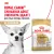 Корм для собак Royal Canin Chihuahua Adult сухой для взрослых собак породы Чихуахуа от 8 месяцев Корм для собак Royal Canin Chihuahua Adult сухой для взрослых собак породы Чихуахуа от 8 месяцев