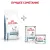 Royal Canin Hypoallergenic Small Dog Canine корм сухой диетический для взрослых собак при пищевой аллергии Royal Canin Hypoallergenic Small Dog Canine корм сухой диетический для взрослых собак при пищевой аллергии