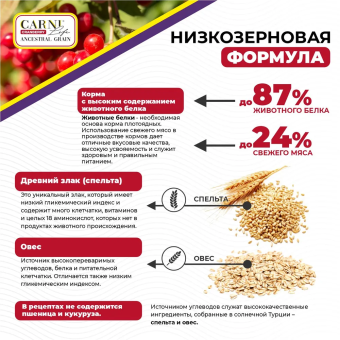 Корм Carni Puppy Mini для щенков мелких пород с ягнёнком, ежевикой и клюквой