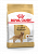 Royal Canin Golden Retriever корм сухой для взрослых собак породы Голден Ретривер от 15 месяцев