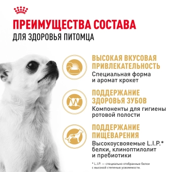 Корм для собак Royal Canin Chihuahua Adult сухой для взрослых собак породы Чихуахуа от 8 месяцев