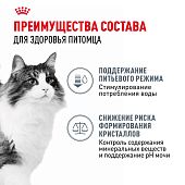 Паучи Royal Canin Urinary Care для взрослых кошек для поддержания здоровья МКБ системы мелкие кусочки в соусе