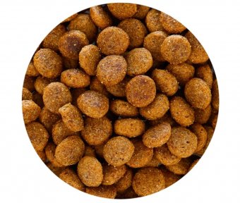 Корм Happy Dog Mini Toscana Тоскана для взрослых собак малых пород с уткой и лососем