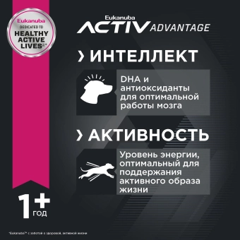 Eukanuba Adult Toy Breed 1+ years корм сухой для взрослых собак миниатюрных пород от года и старше
