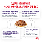 Паучи Royal Canin Neutered Maintenance для взрослых стерилизованных кошек