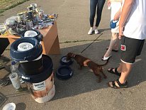 Дегустация в зоомагазине «Динозаврик» (Ул.Снежная, д.16к6)!