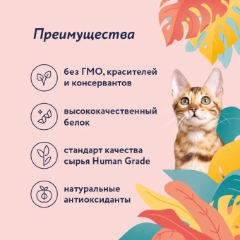 Консервы Florida для кошек с уткой и яблоком