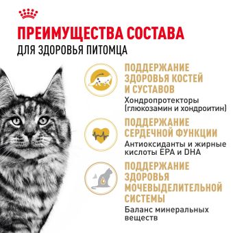 Корм для кошек Royal Canin Maine Coon Adult Корм сухой сбалансированный для взрослых кошек породы Мэйн Кун