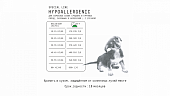 Сухой Корм AJO Dog Hypoallergenic с гречкой для взрослых собак средних и крупных пород, склонных к аллергиям
