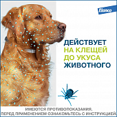 Водостойкий ошейник Форесто для собак до 8 кг от клещей, блох и вшей