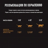 Паучи Crave для взрослых кошек с говядиной Паучи Crave для взрослых кошек с говядиной
