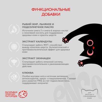 Паучи Enso Basic полнорационный корм для взрослых кошек кусочки в соусе с лососем