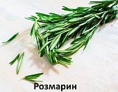 Сухой Корм Alleva Holistic Cat Neutered Chicken & Duck для стерил. кошек с курицей и уткой, волокнами сахарного тростника Сухой Корм Alleva Holistic Cat Neutered Chicken & Duck для стерил. кошек с курицей и уткой, волокнами сахарного тростника