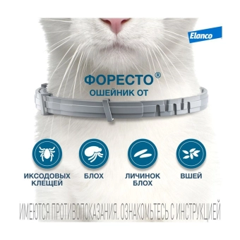 Водостойкий ошейник Форесто для кошек от клещей, блох и вшей