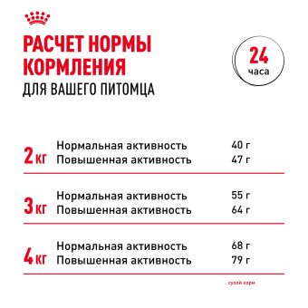 Корм для котят Royal Canin Kitten Корм сухой сбалансированный период второй фазы роста