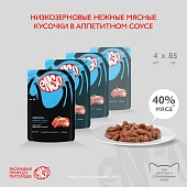 Паучи Enso полнорационный корм для взрослых кошек кусочки в соусе с лососем