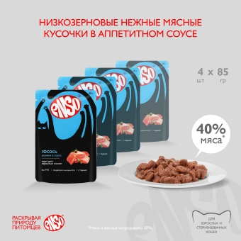 Паучи Enso Basic полнорационный корм для взрослых кошек кусочки в соусе с лососем