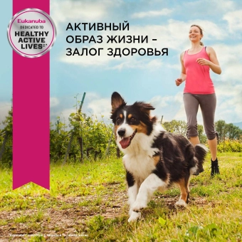 Корм для собак Eukanuba Adult All Breed влажный рацион с ягнёнком в соусе