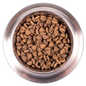 Корм Monge Dog Speciality Line Hypo для взрослых собак гипоаллергенный c лососем и...