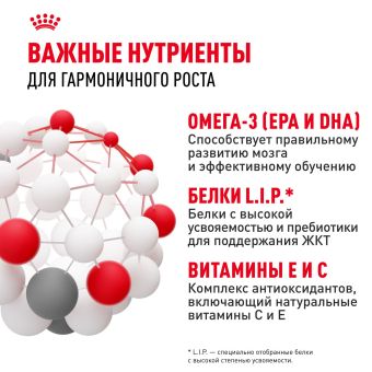 Корм для собак Royal Canin Maxi Puppy Корм сухой для щенков крупных размеров до 15 месяцев