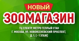 Новый зоомагазин «Динозаврик» в ТЦ Спектр!