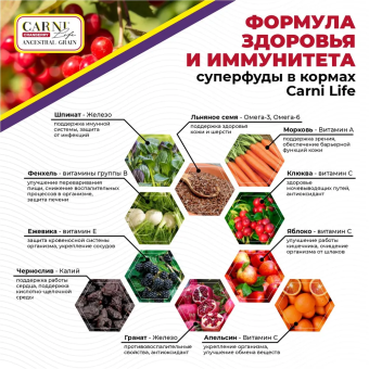 Корм Carni Puppy Mini для щенков мелких пород с ягнёнком, ежевикой и клюквой