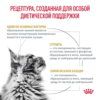 Паучи Royal Canin Urinary S/O для кошек при мочекаменной болезни