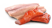 Консервы Farmina N&D Dog Ocean Trout&salmon для собак с форелью и лососем Консервы Farmina N&D Dog Ocean Trout&salmon для собак с форелью и лососем