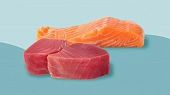 Паучи Nutri Plan для кошек с тунцом, икрой и лососем паштет в желе Паучи Nutri Plan для кошек с тунцом, икрой и лососем паштет в желе
