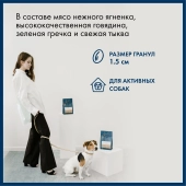 Корм Blue Native Holistic Fish для взрослых собак средних и крупных пород с рыбой