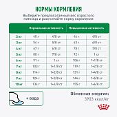 Сухой Корм Royal Canin Mini Adult 8+ для стареющих собак малых пород старше 8 лет Сухой Корм Royal Canin Mini Adult 8+ для стареющих собак малых пород старше 8 лет