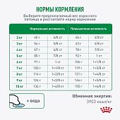 Сухой Корм Royal Canin Mini Adult 8+ для стареющих собак малых пород старше 8 лет