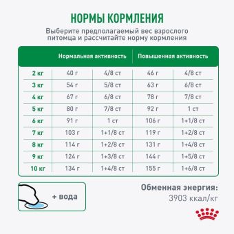 Корм Royal Canin Mini Adult 8+ для стареющих собак малых пород старше 8 лет
