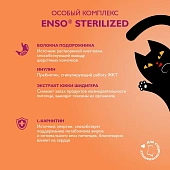 Паучи Enso Sterilized для взрослых стерилизованных кошек кусочки в соусе с перепелкой Паучи Enso Sterilized для взрослых стерилизованных кошек кусочки в соусе с перепелкой