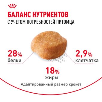 Корм для котят Royal Canin Kitten Корм сухой сбалансированный период второй фазы роста