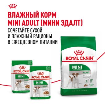 Корм для собак Royal Canin Mini Adult Корм сухой для взрослых собак мелких размеров от 10 месяцев