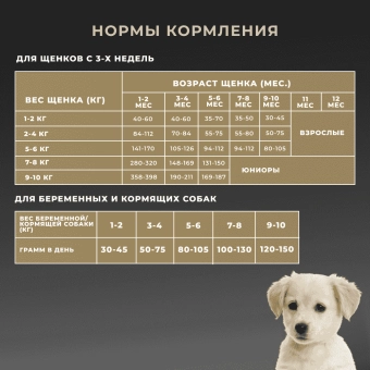 Сухой корм Premier Puppy для щенков всех пород с 3 недель, беременных и кормящих собак, свежее мясо индейки