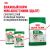 Корм для собак Royal Canin Mini Adult Корм сухой для взрослых собак мелких размеров от 10 месяцев