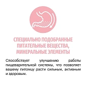 Сухой Корм Karmy Delicious Mini для привередливых собак мелких пород с телятиной Сухой Корм Karmy Delicious Mini для привередливых собак мелких пород с телятиной