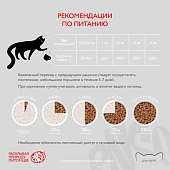 Банки Enso Basic полнорационный корм для котят паштет с телятиной и овощами Банки Enso Basic полнорационный корм для котят паштет с телятиной и овощами