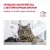 Royal Canin Urinary S/O Moderate Calorie Feline корм сухой диетический для взрослых кошек при мочекаменной болезни Royal Canin Urinary S/O Moderate Calorie Feline корм сухой диетический для взрослых кошек при мочекаменной болезни
