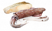 Консервы Farmina N&D Adult Dog Ocean Cod&squid для собак с треской и кальмарами Консервы Farmina N&D Adult Dog Ocean Cod&squid для собак с треской и кальмарами